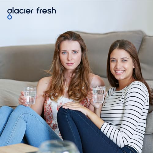 XWFE (Built-in CHIP) Refrigerator Water Filter Pack of 2 (2 Count)