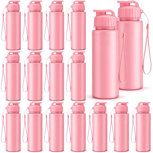 20 Pcs 17 Oz Plastic Water Bottles Bulk Sports (20 Count)