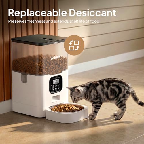 Automatic Cat Feeder