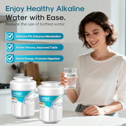 Alkaline RWF0600A (4 Count)