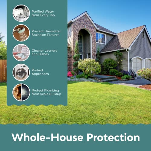Water Descaler for Tankless Water Heater and Whole
