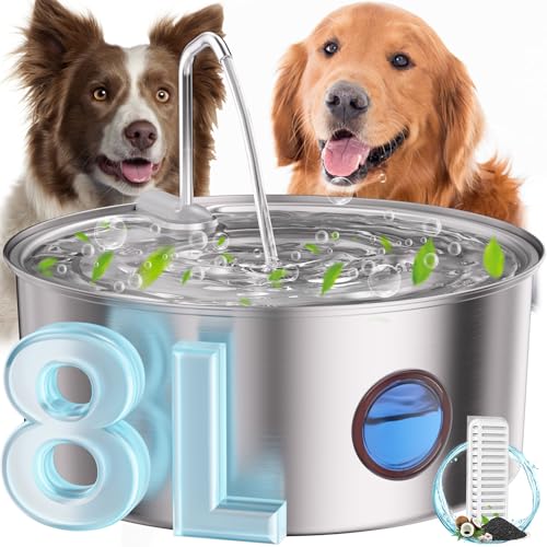 Dog Water Fountain for Large Dogs