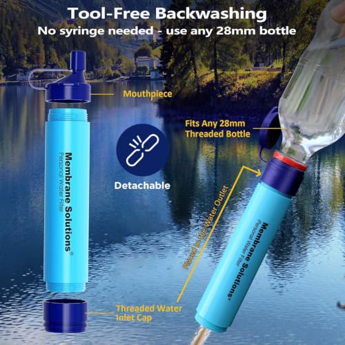 Personal Water Filter Straw S1 (6 Count)