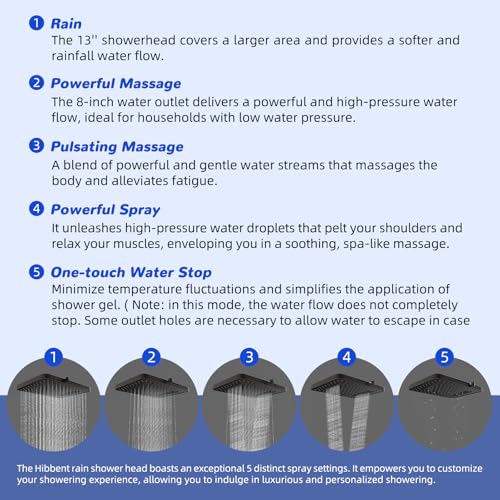 5 spray Filtered Rainfall Shower Head Combo