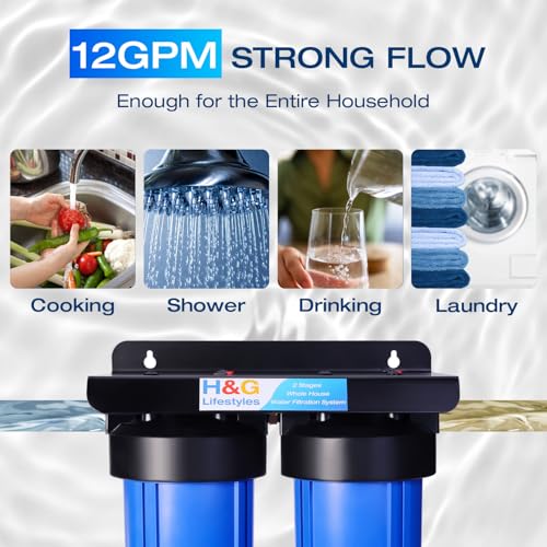 Whole House Iron Water Filter for Well Water