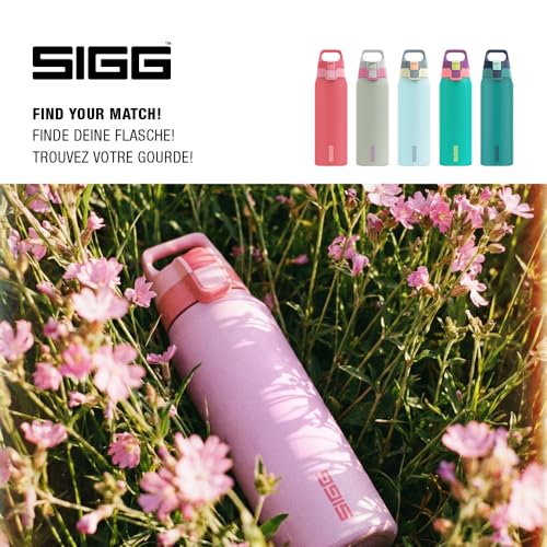 Insulated Water Bottle