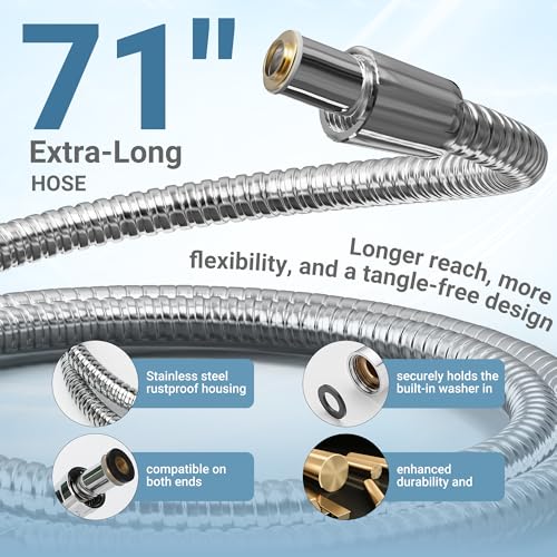 Filtered Shower Head with Handheld