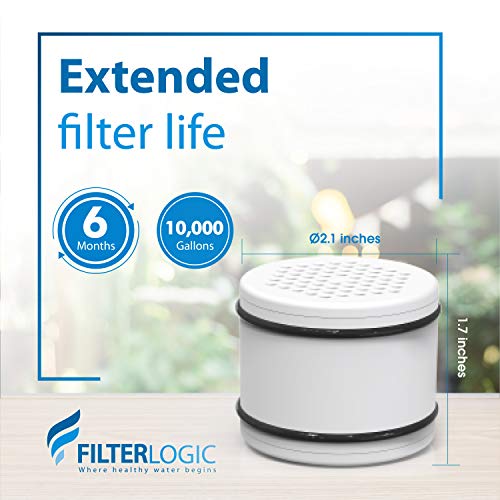 WHR 140 Shower Filter (3 Count)