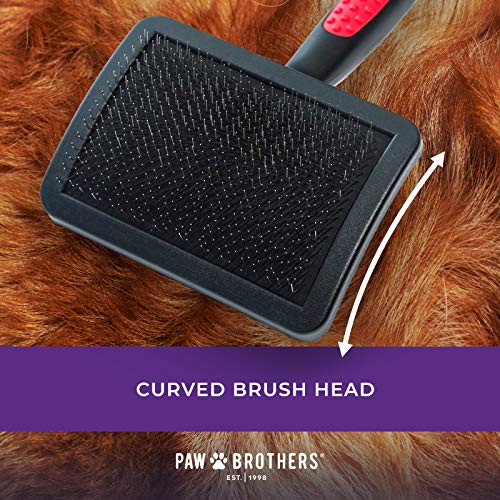 Paw Brothers Universal Type Slicker