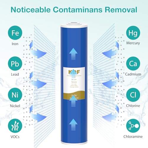 20" x 4.5" Whole House GAC Carbon and KDF Water Filter Cartridge (2 Count)