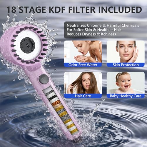 Filtered Shower Head with Handheld