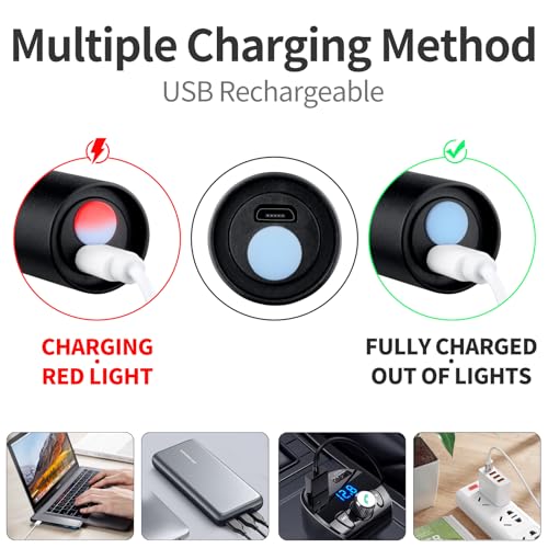 UV Flashlight USB Rechargeable (2 Count)