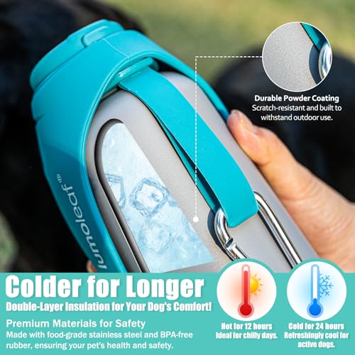 Insulated Dog Water Bottle 27 oz Stainless Steel