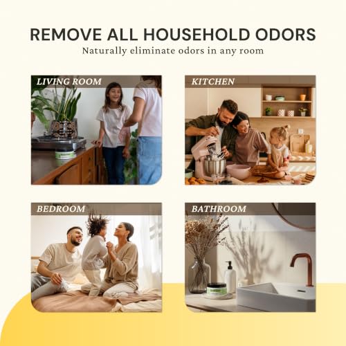 Lemon Odor Eliminator Gel 3 (21 Fl Oz)
