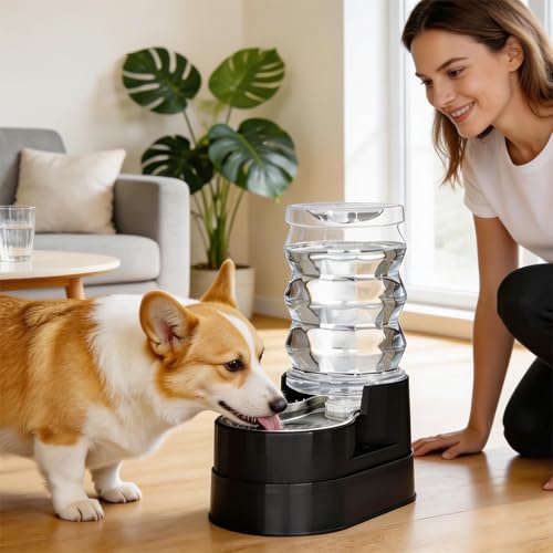 7L Raised Dog Water Dispenser