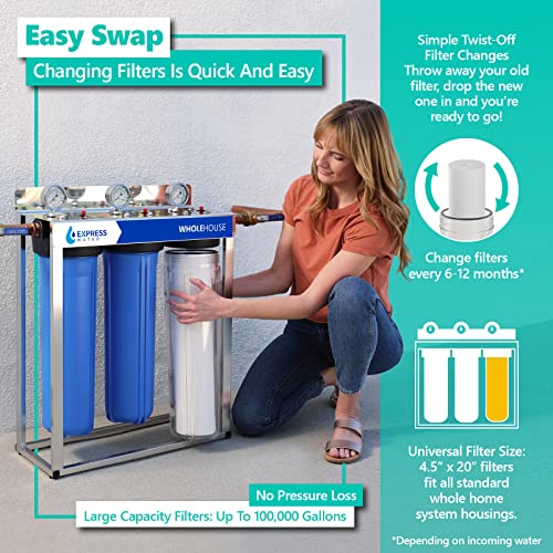 Sediment Replacement Filter