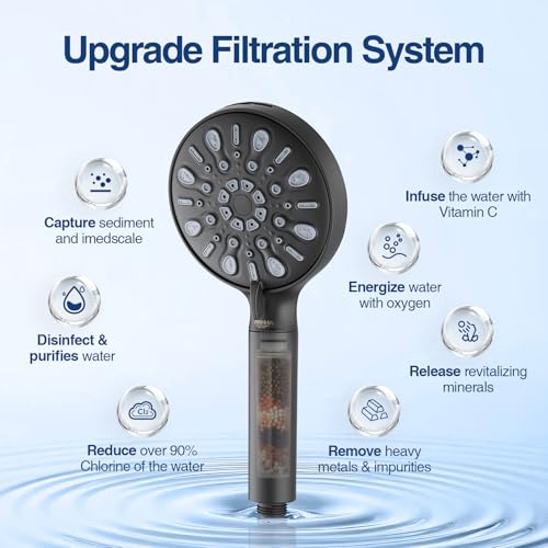 Filtered Shower Head with Handheld