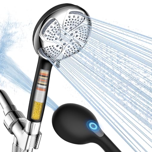 Filtered Shower Head with Handheld