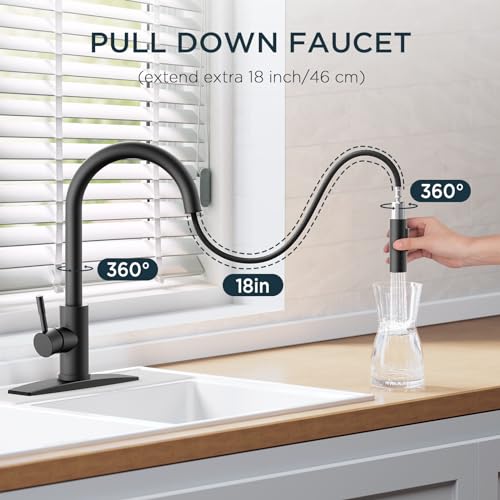 Black Kitchen Sink Faucet with Pull Down Sprayer