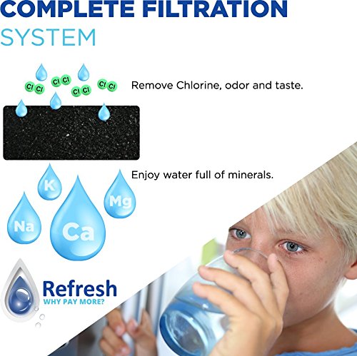 Refresh Refrigerator Water Filter Replacement for LG LT500P (2 Count)