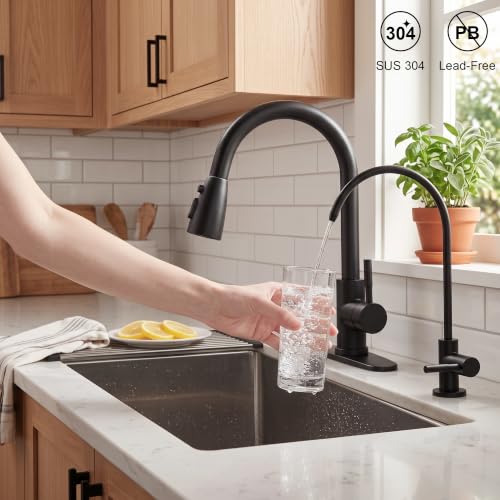 Black Kitchen Faucet and Water Filter Faucet Combo