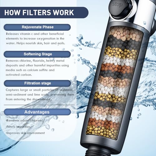 Filtered Shower Head with Handheld (4 Count)