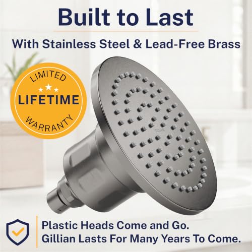 Gillian Filtered Shower Head for Hard Water