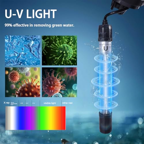 Dual Chamber U