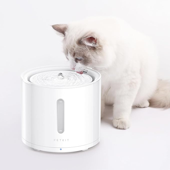 PETKIT EVERSWEET Solo 2 Cat Water Fountain with Pump, Ultra Quiet 70oz/2L Pet Water Fountain for Cats and Dogs Inside, 3 Working Modes, Visualization Window, (App Control)