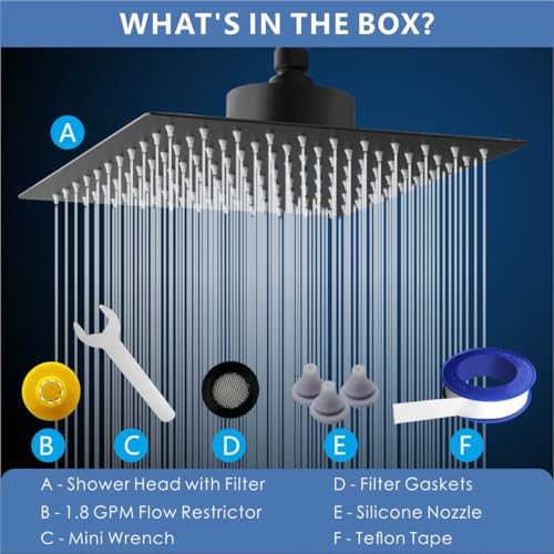 Rain Shower Head with Filtered