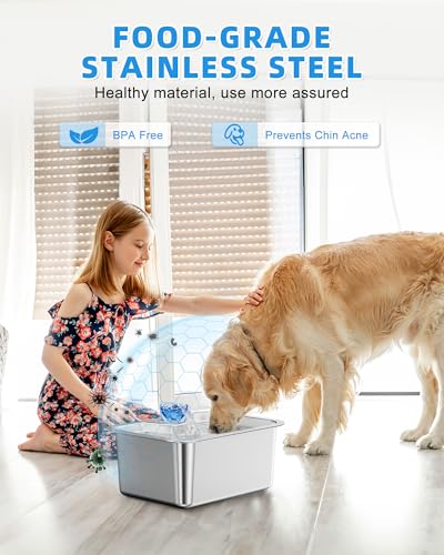 Dog Water Fountain