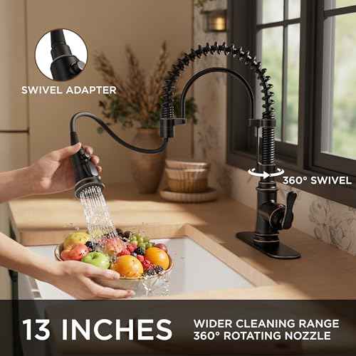 Atique Kitchen Faucet with Pull Down Sprayer