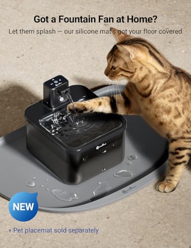 Cat Water Fountain Cordless
