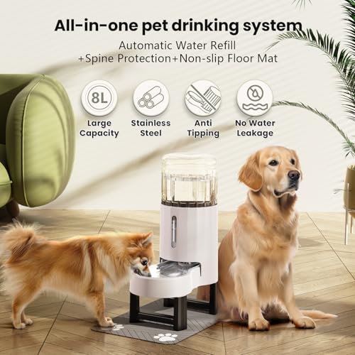 Elevated Dog Water Bowl Dispenser