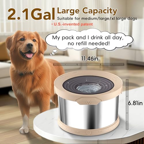 8L Dog Water Bowl No Spill Stainless Steel for Slow Drinking Beige