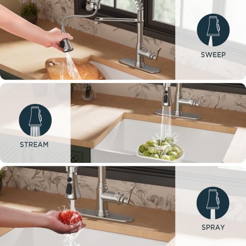 Rustic Kitchen Faucet with Pull Down Sprayer