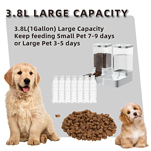 Gravity Pet Feeder and Water Dispenser Set