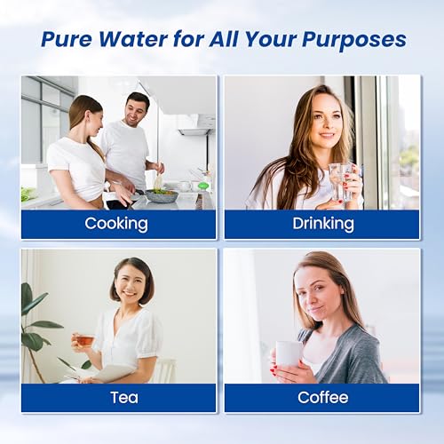 WS852 Filter Replacement for Aquasana® AQ (3 Count)