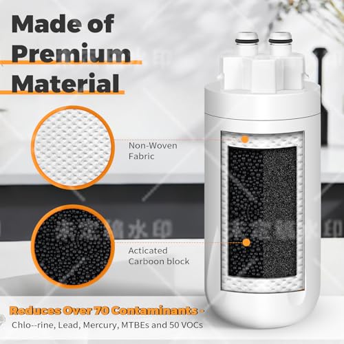 Water Replacement Filter (2 Count)