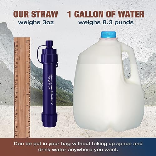 S2 Detachable Water Filter Straw (5 Count)