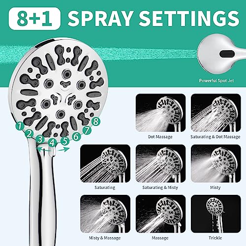 Filtered Shower Head with Handheld Combo