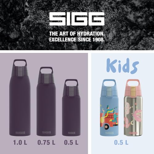 Insulated Water Bottle