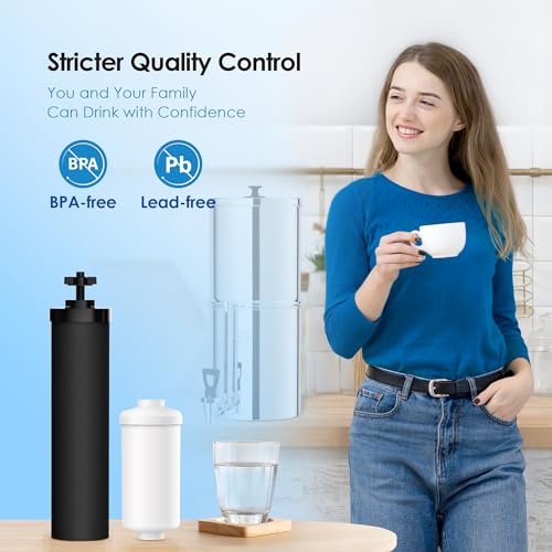 Gravity Water Filter (2 Count)