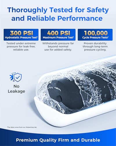 Plus Water Filter (2 Count)