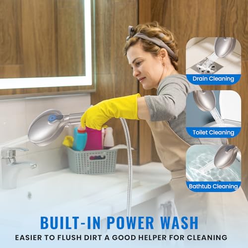 Filtered Shower Head with Handheld