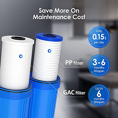 WF10PG Whole House Water Filter for WHF21 (2 Count)