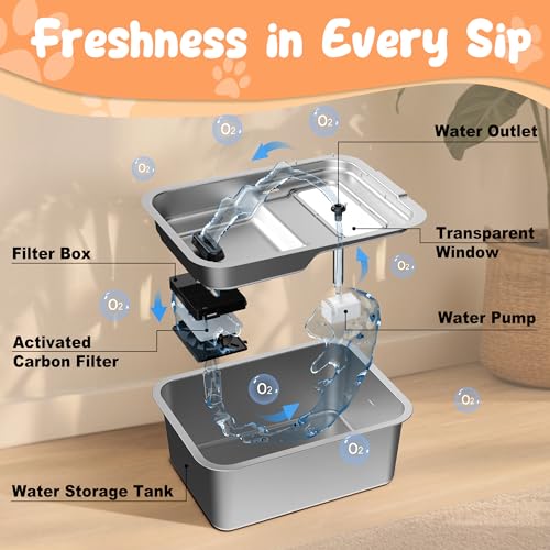 Stainless Steel Dog Fountain
