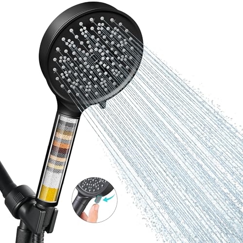 Filtered Shower Head with Handheld