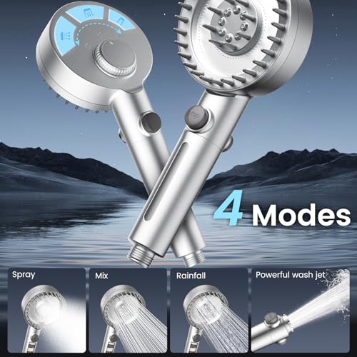 Filtered Shower Head with Handheld