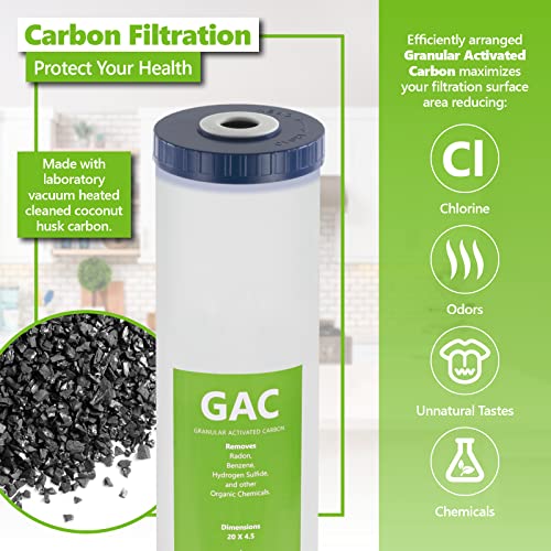 Whole House Water Filter Set (2 Count)